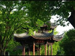 -西溪国家湿地公园