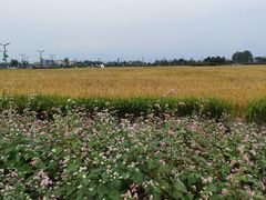 -中国天府农业博览园