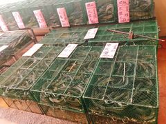 -荔城生鲜盛宴(番禺旗舰店)