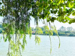 -南国桃园旅游度假区