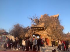 -大槐树寻根祭祖园
