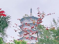 -深圳国际园林花卉博览园