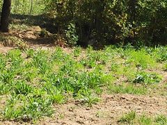 -兴玉妈妈土菜馆(人民大街店)