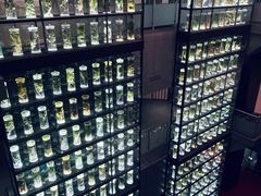 -广东中医药博物馆