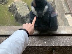 -昆明动物园