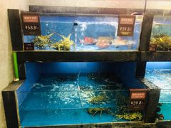 水产区-徐记海鲜(大雁塔|金都店)