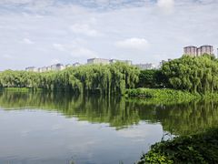 -西安汉城湖景区