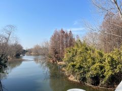 -溱湖国家湿地公园