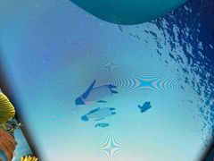 -珠海长隆海洋王国