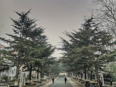 -贮水山儿童公园