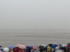 -观潮胜地公园