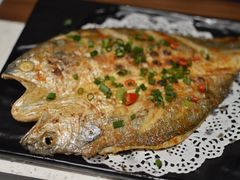 -九府羊·鲜羊火锅·烤串(新华路店)