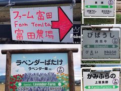 -富田农场