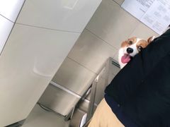 -申普宠物医院·眼科·心内科·影像科(普陀分院)