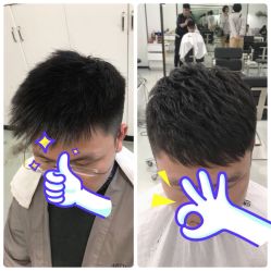 -T8 SALON