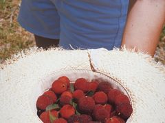 -竹上云想餐厅民宿