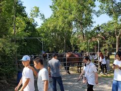 -上海海湾国家森林公园