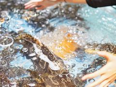 -79号渔船海鲜饭店(宝安店)