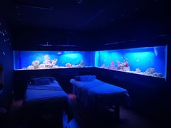 -避尘 Bsense·SPA(新会展总店)
