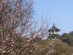 -无锡梅园公园