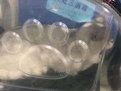 -科道动物医院·急重症中心(万达院)