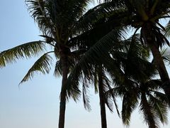 -海花岛旅游度假区
