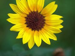 -光明小镇欢乐田园