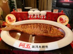 -阿五黄河大鲤鱼(纬三路店)