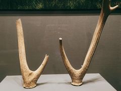 -贵州省博物馆(新馆)