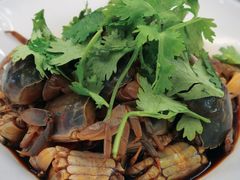 醉蟹-苏启渔港(云南北路店)