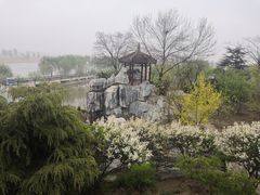 -白洋淀景区
