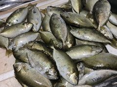 海鱼-羊栏农贸市场(羊新路店)