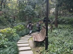 -汇龙潭