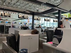 -米兰马尔彭萨国际机场