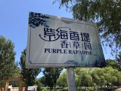 -紫海香堤香草艺术庄园