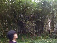 -徐家汇源景区-衡山公园