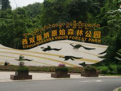 -西双版纳原始森林公园