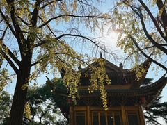 -上海东林寺(金山区)