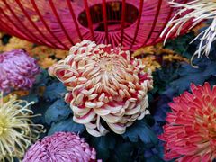 -汇龙潭