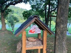 -福建鲤鱼洲酒店