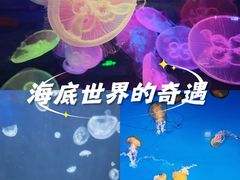 -太平洋海底世界