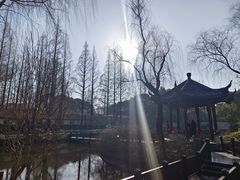 -瀛洲公园