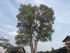 -丝绸小镇荻港古村