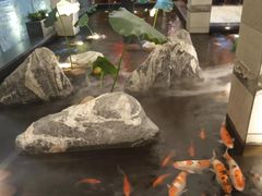 -梅园国际大酒店·自助餐厅(光明港店)