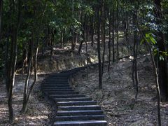 -火炉山森林公园