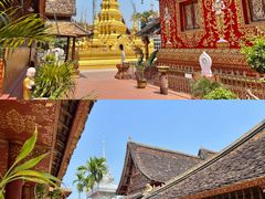 -西双版纳傣族园