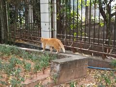 -晓港公园