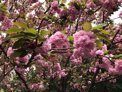 -苏州河梦清园环保主题公园