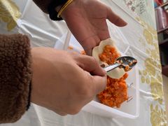 -宠乐会宠物乐园