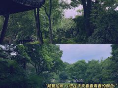 -拙政园